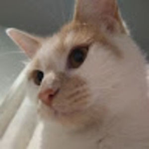 Meet your Posher, Nora